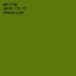 #5C770B - Green Leaf Color Image