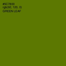 #5C7800 - Green Leaf Color Image