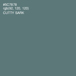 #5C7878 - Cutty Sark Color Image