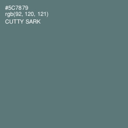 #5C7879 - Cutty Sark Color Image