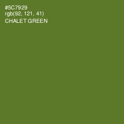 #5C7929 - Chalet Green Color Image