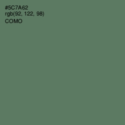 #5C7A62 - Como Color Image