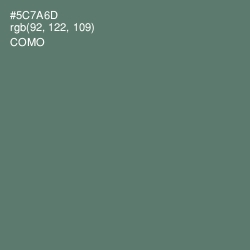 #5C7A6D - Como Color Image