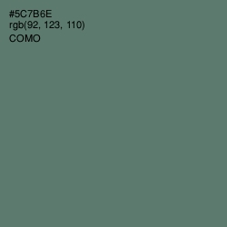 #5C7B6E - Como Color Image