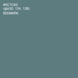 #5C7C80 - Bismark Color Image