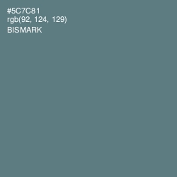 #5C7C81 - Bismark Color Image