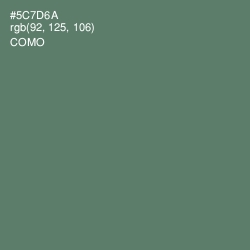 #5C7D6A - Como Color Image