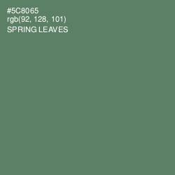 #5C8065 - Spring Leaves Color Image