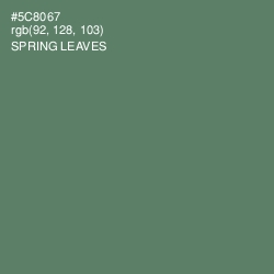 #5C8067 - Spring Leaves Color Image