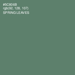 #5C806B - Spring Leaves Color Image