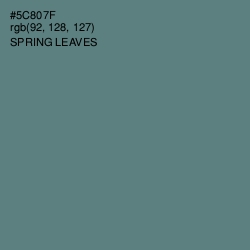 #5C807F - Spring Leaves Color Image