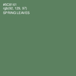 #5C8161 - Spring Leaves Color Image