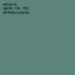 #5C847A - Spring Leaves Color Image