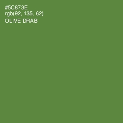 #5C873E - Olive Drab Color Image