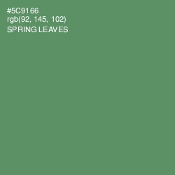 #5C9166 - Spring Leaves Color Image