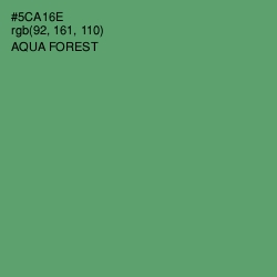 #5CA16E - Aqua Forest Color Image