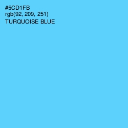 #5CD1FB - Turquoise Blue Color Image