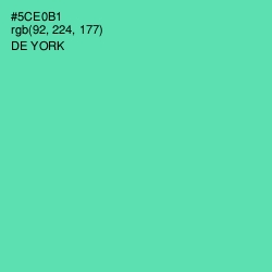 #5CE0B1 - De York Color Image