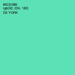 #5CE0B6 - De York Color Image