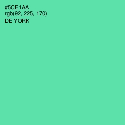 #5CE1AA - De York Color Image