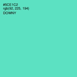 #5CE1C2 - Downy Color Image