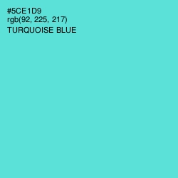 #5CE1D9 - Turquoise Blue Color Image