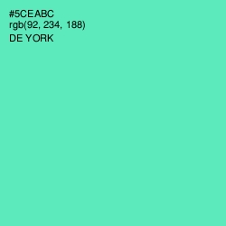 #5CEABC - De York Color Image