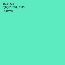 #5CEAC0 - Downy Color Image