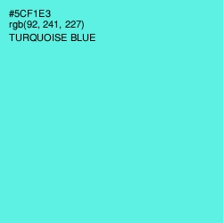 #5CF1E3 - Turquoise Blue Color Image