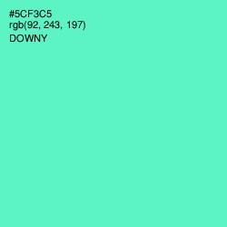 #5CF3C5 - Downy Color Image