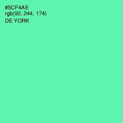 #5CF4AE - De York Color Image
