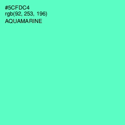 #5CFDC4 - Aquamarine Color Image