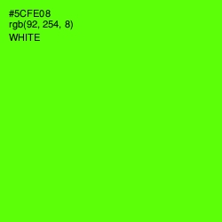 #5CFE08 - Bright Green Color Image