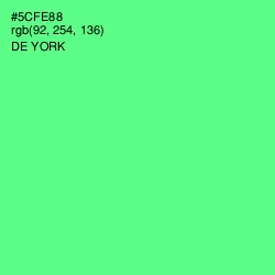 #5CFE88 - De York Color Image