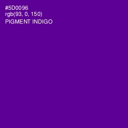 #5D0096 - Pigment Indigo Color Image