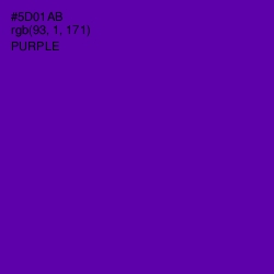 #5D01AB - Purple Color Image