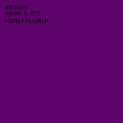 #5D036B - Honey Flower Color Image