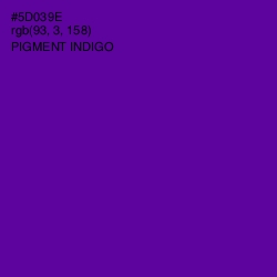 #5D039E - Pigment Indigo Color Image