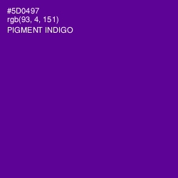 #5D0497 - Pigment Indigo Color Image