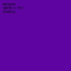 #5D04A1 - Purple Color Image