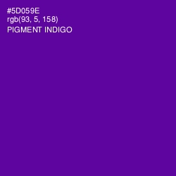 #5D059E - Pigment Indigo Color Image