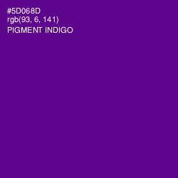 #5D068D - Pigment Indigo Color Image