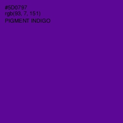 #5D0797 - Pigment Indigo Color Image