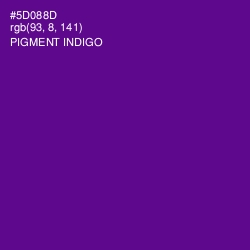 #5D088D - Pigment Indigo Color Image