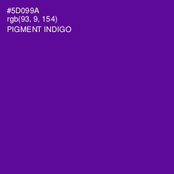 #5D099A - Pigment Indigo Color Image