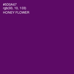 #5D0A67 - Honey Flower Color Image