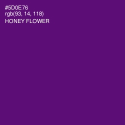 #5D0E76 - Honey Flower Color Image