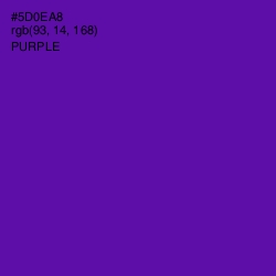 #5D0EA8 - Purple Color Image