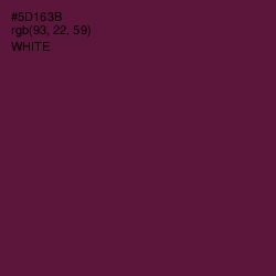 #5D163B - Wine Berry Color Image
