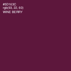 #5D163C - Wine Berry Color Image